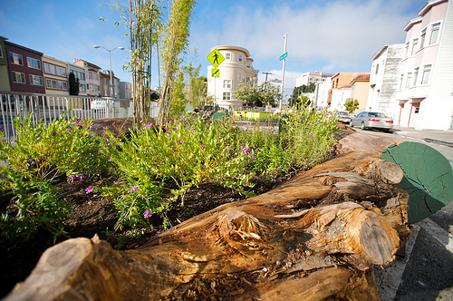 San Jose / Guerrero Park / Image by Brian Kusler (Flickr)